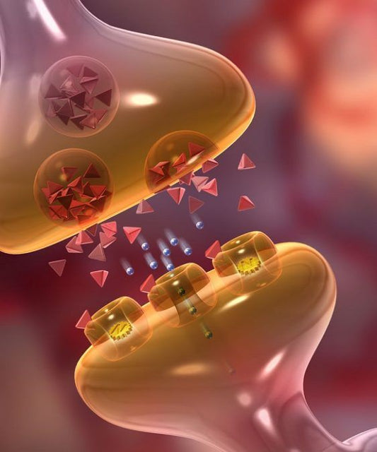 The Impact of Migraine: Understanding Disability and Seeking Relief