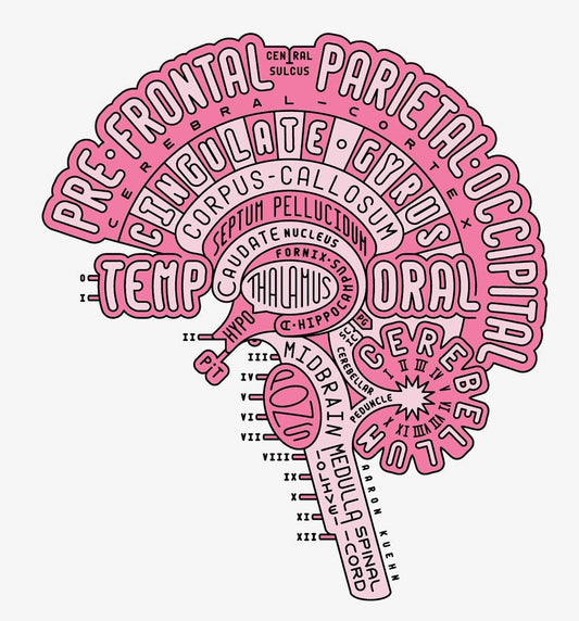 The Success of CGRP MABs for Migraine Relief: A Game-Changer in Treatment