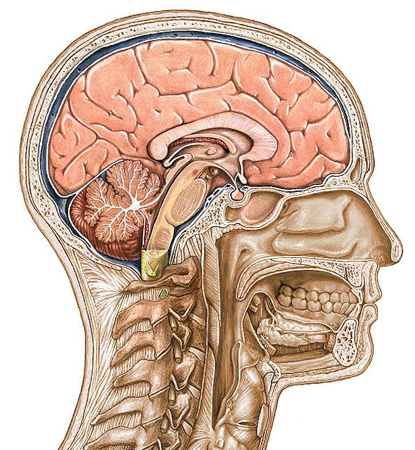 Understanding Hormonal Migraines and Managing Menstrual Migraines with Prophylaxis
